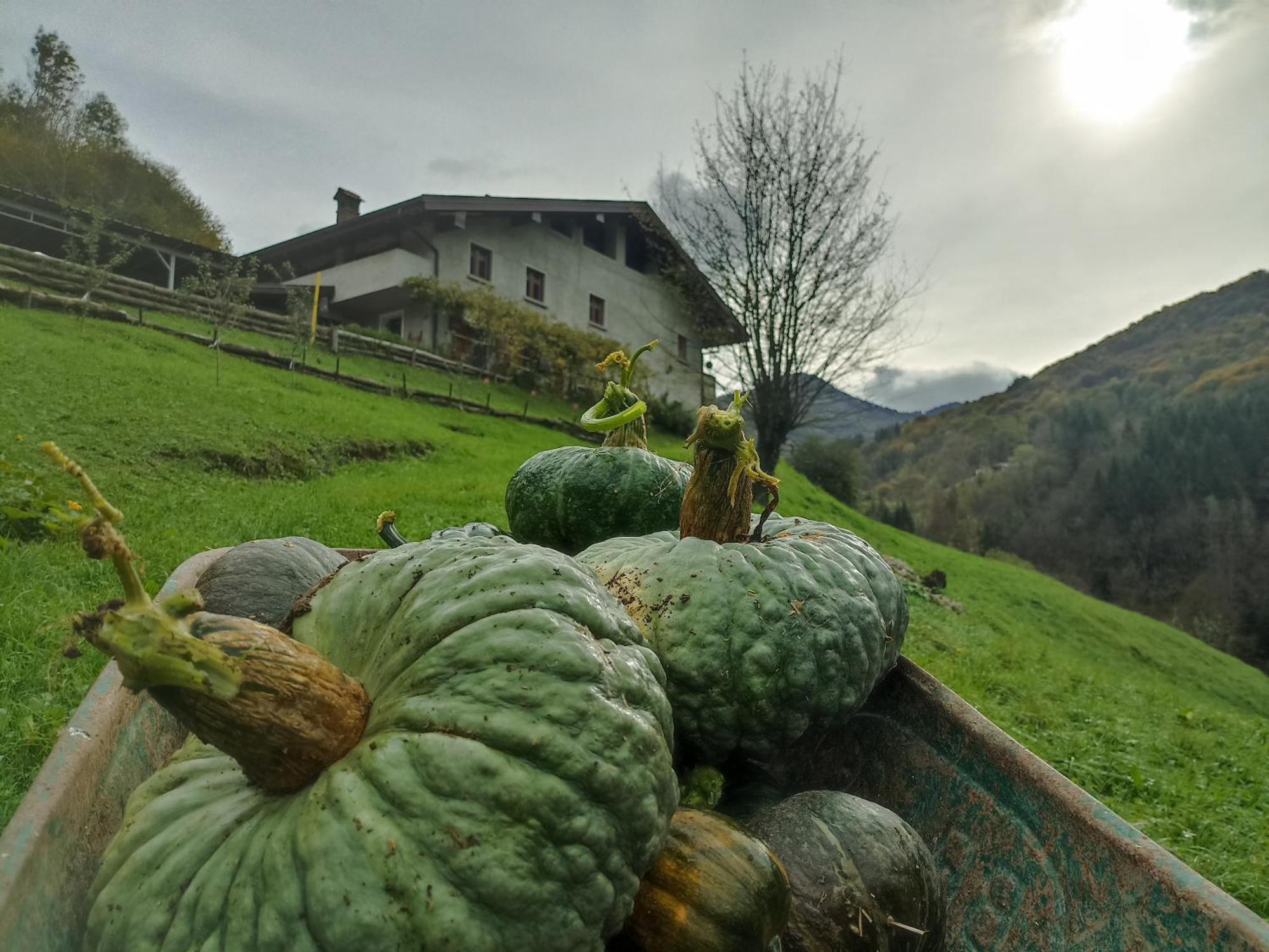 Agriturismo Cascina Cornella Cremeno Exteriér fotografie