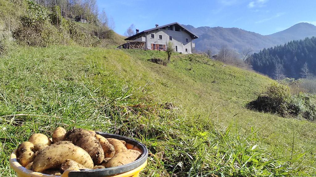 Agriturismo Cascina Cornella Cremeno Exteriér fotografie